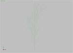 BranchingStructuresB