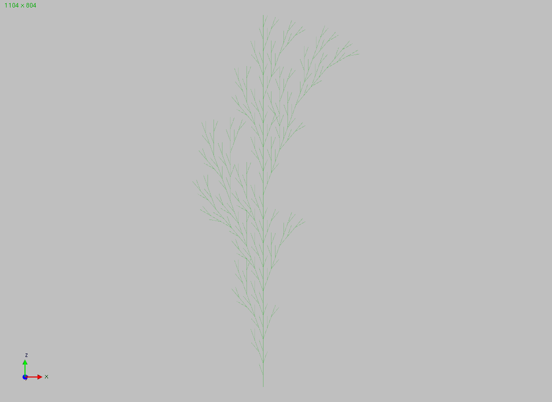 Branching Structure B