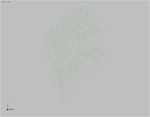 BranchingStructuresC