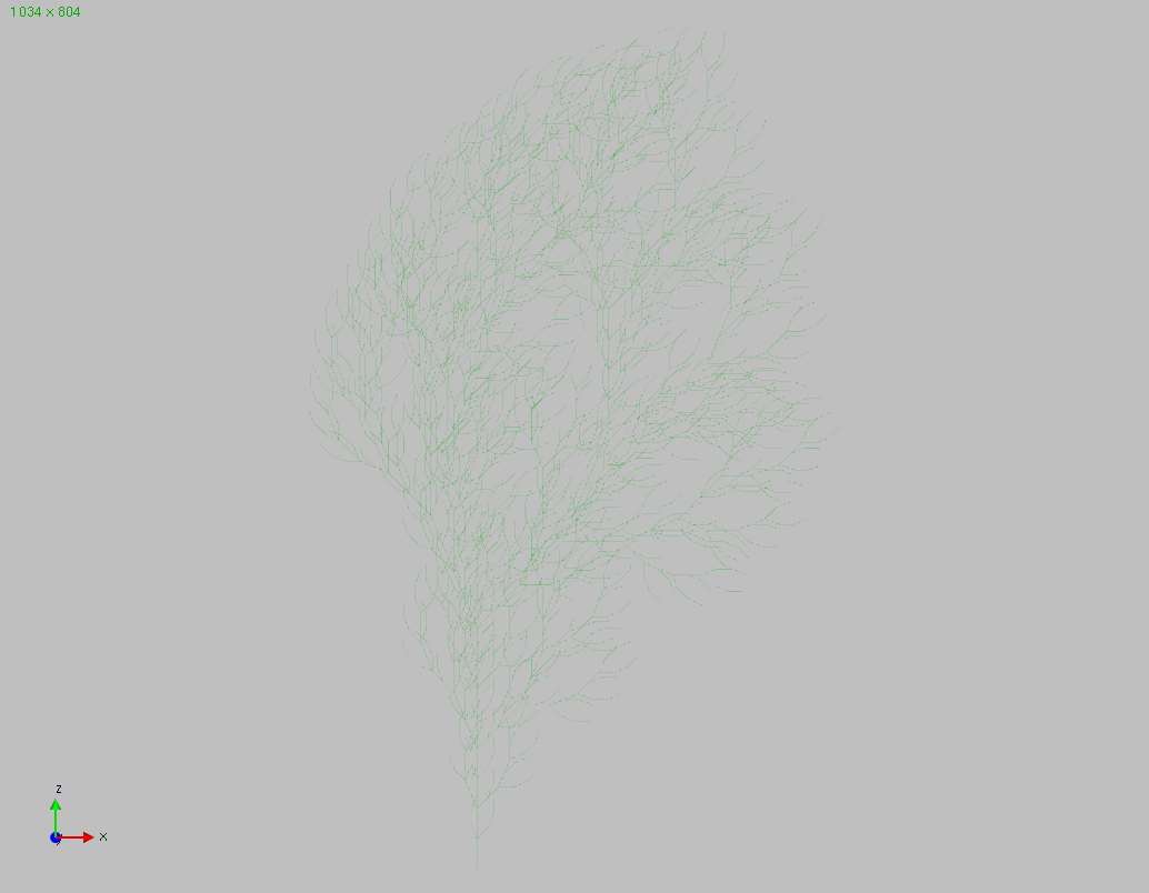 Branching Structure C