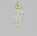 rose_leaf