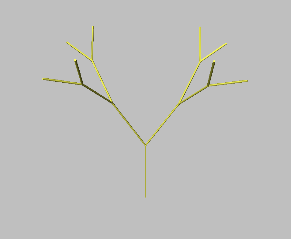 Growth with opposite phyllotaxis