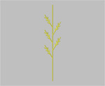 sm09_e22