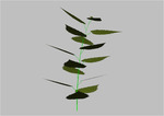 sm09_b40