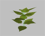 sm09_b44
