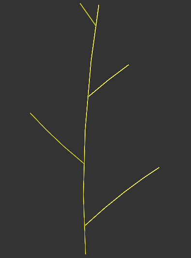 fern