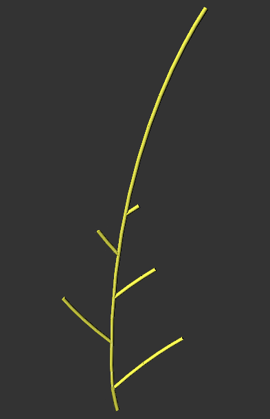 fern_alt