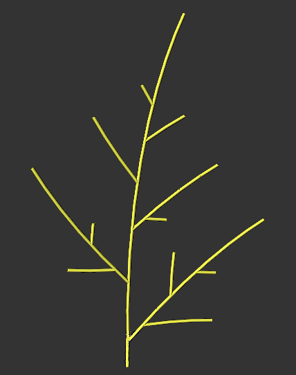 fern_without_d