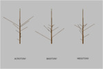 longSymmetry