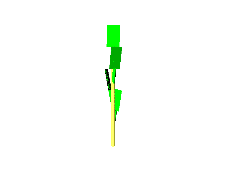 Sloped Petiole Model