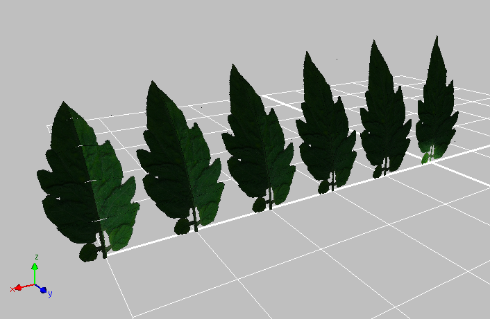 leafFacets.png