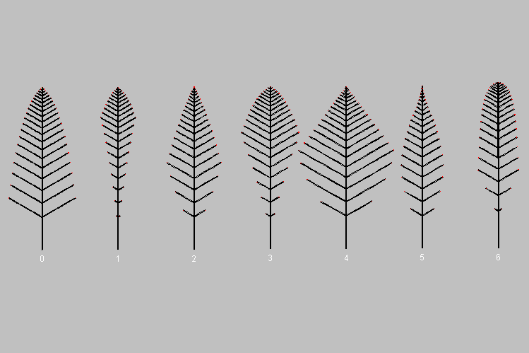 leaf_structures.png